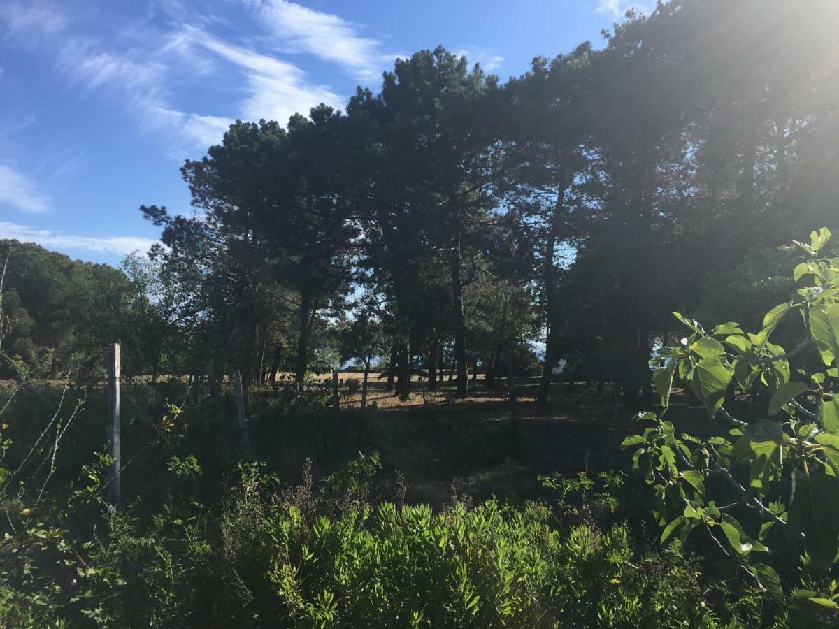Residenza Gherly Capo Vaticano Zewnętrze zdjęcie